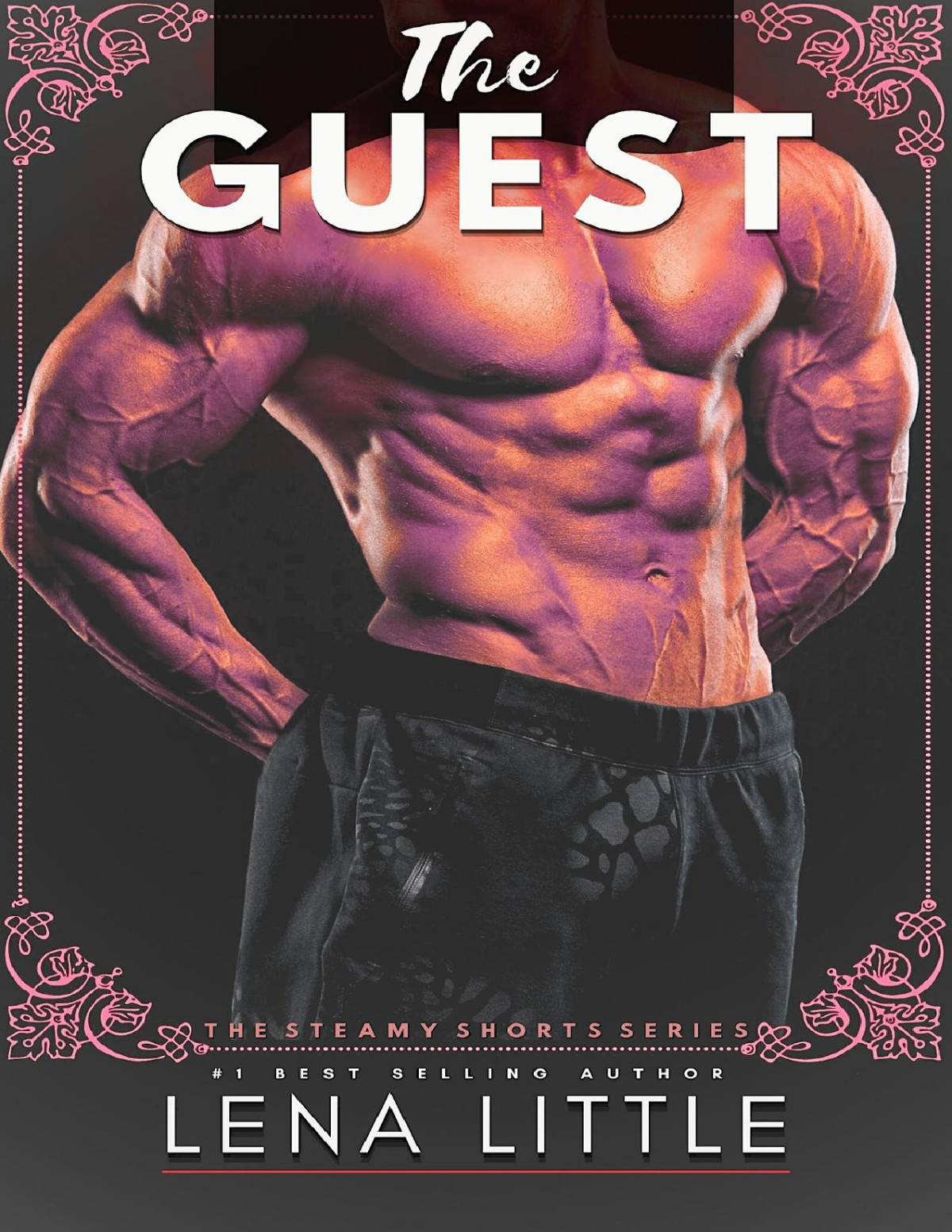 The Guest Steamy Shorts Book 16 Lena Little