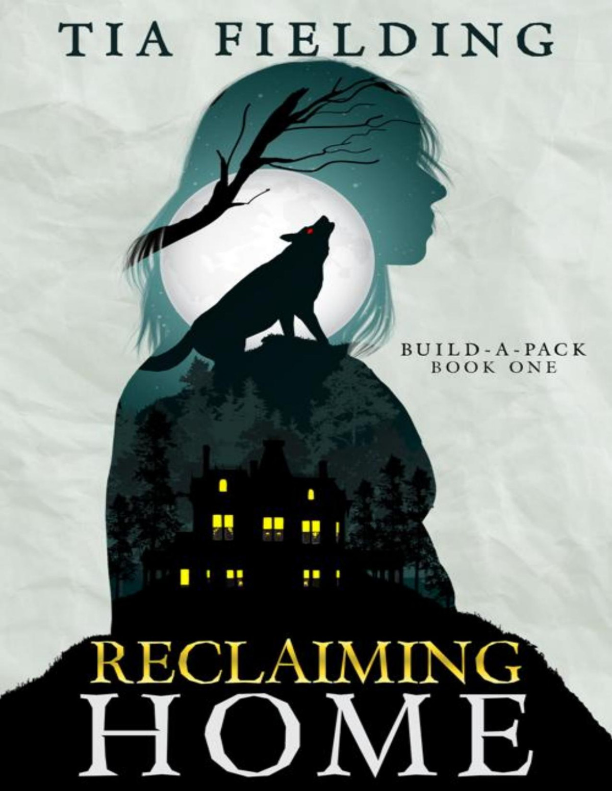 Reclaiming Home Buildapack Book 1 Tia Fielding