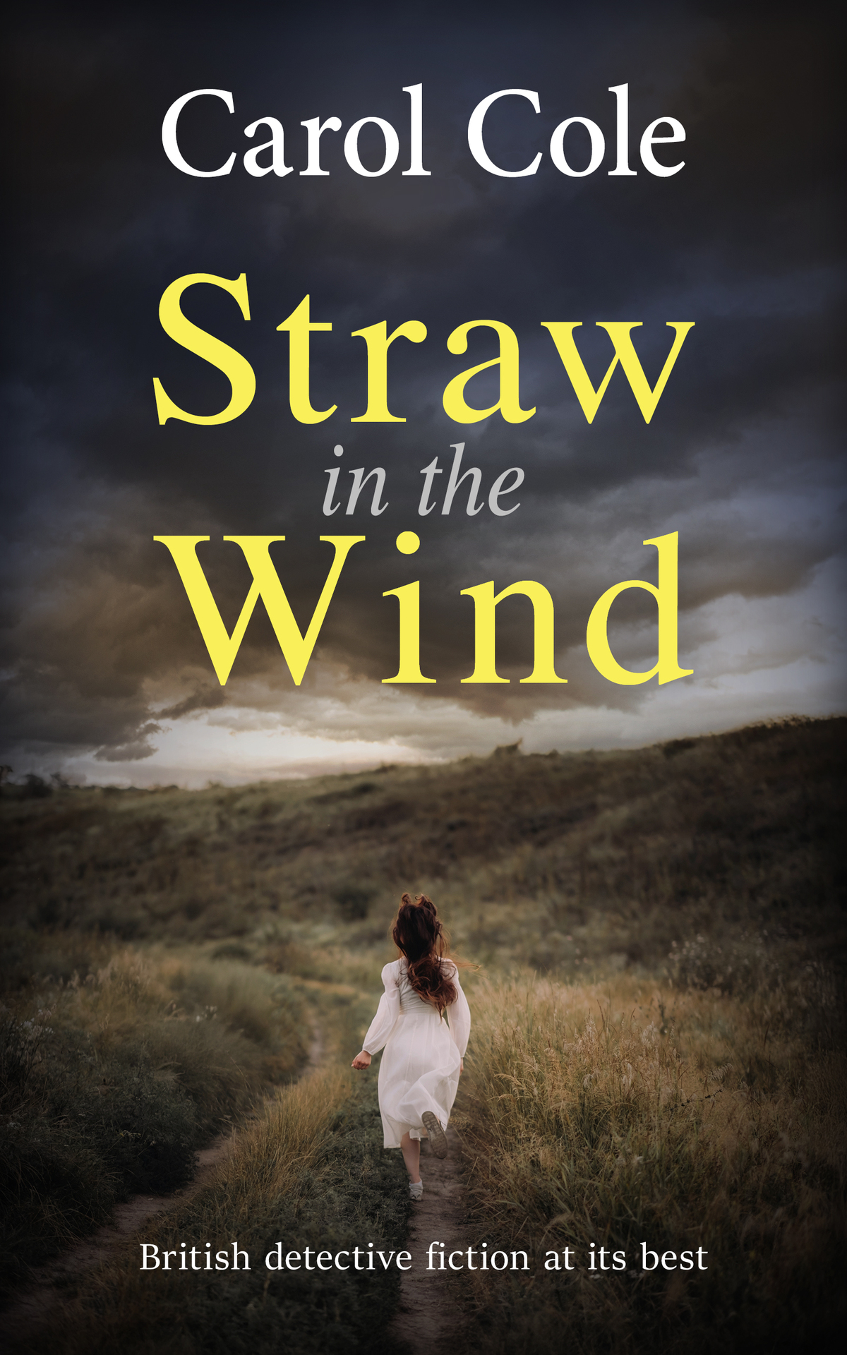 Straw In The Wind 1st Edition Carol Cole