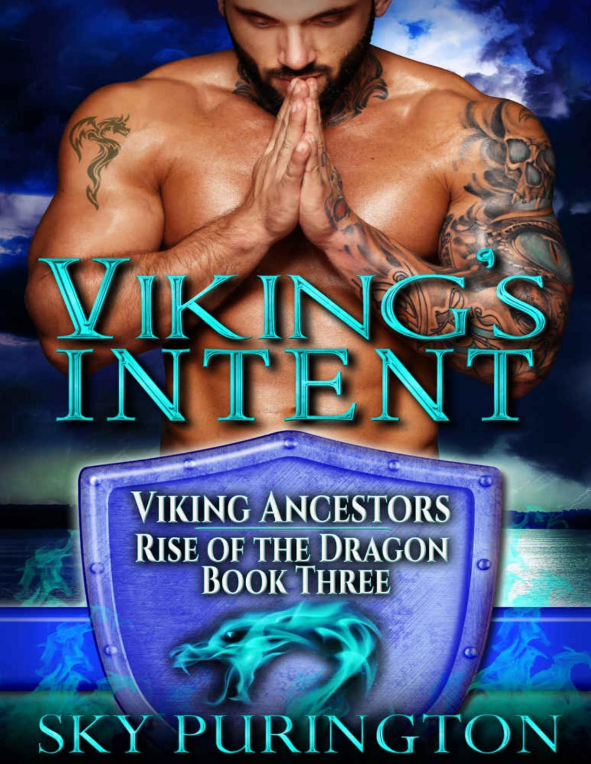 Vikings Intent Sky Purington