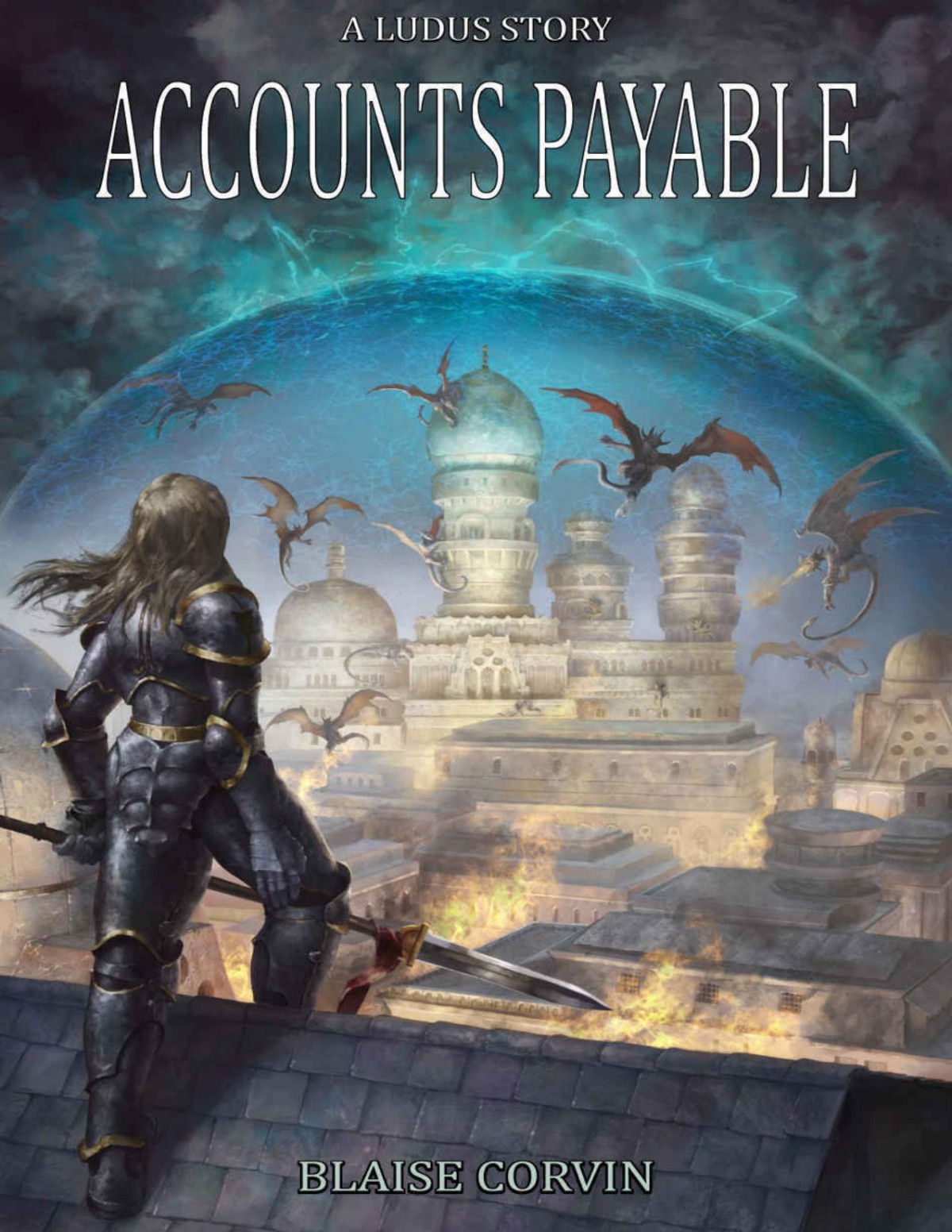 Nora Hazard 3 Accounts Payable Blaise Corvin