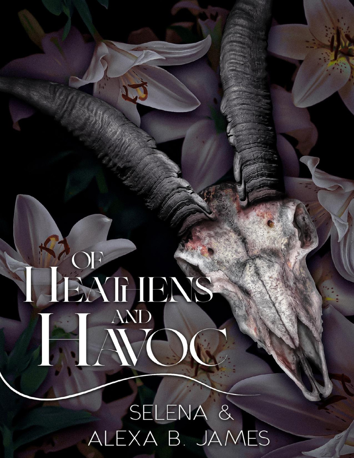 Of Heathens Havoc The Confessions Of Mercy Soules Kings Of Thorncrown University Book 1 Selena Alexa B James