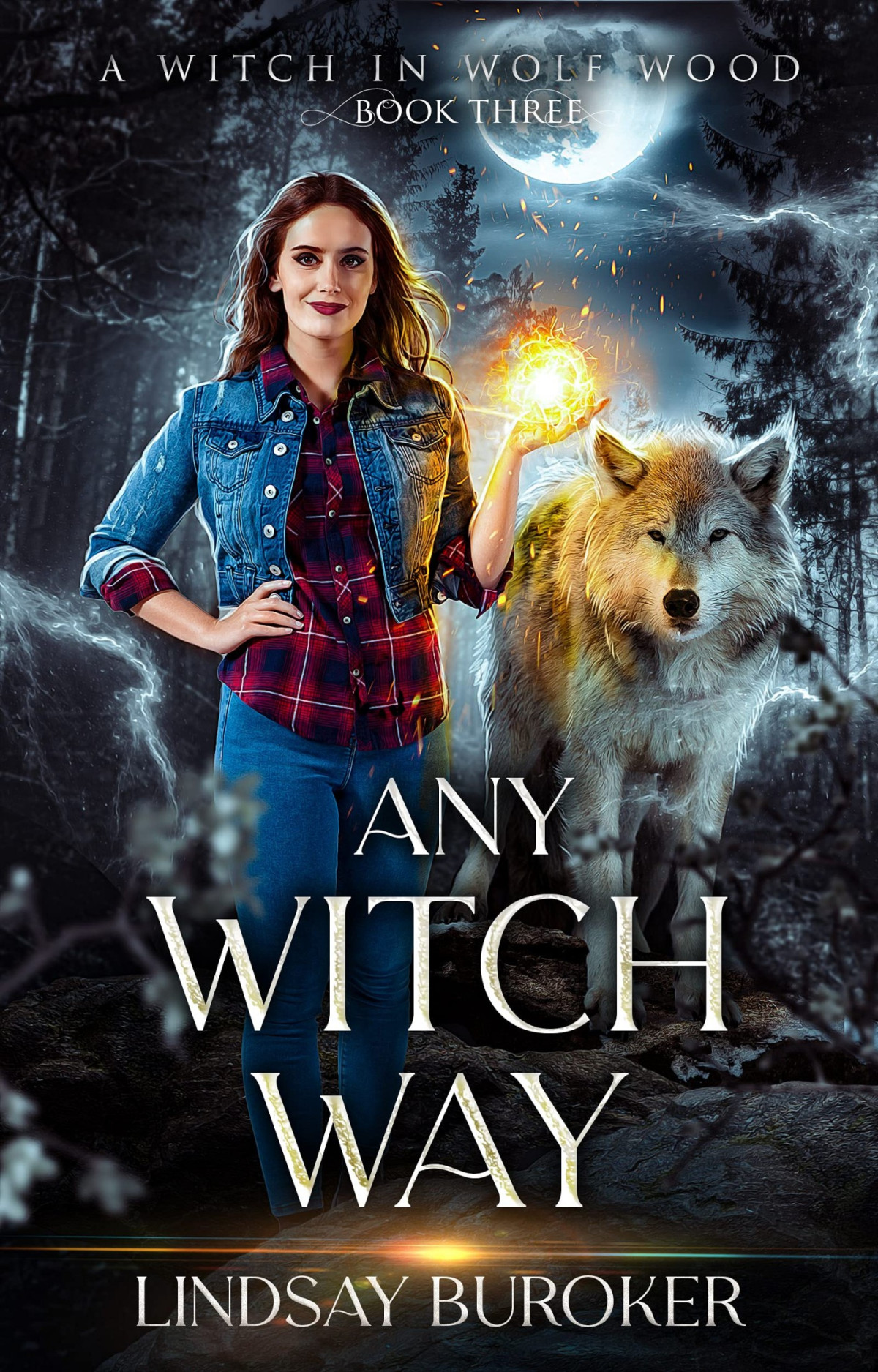 Any Witch Way Lindsay Buroker