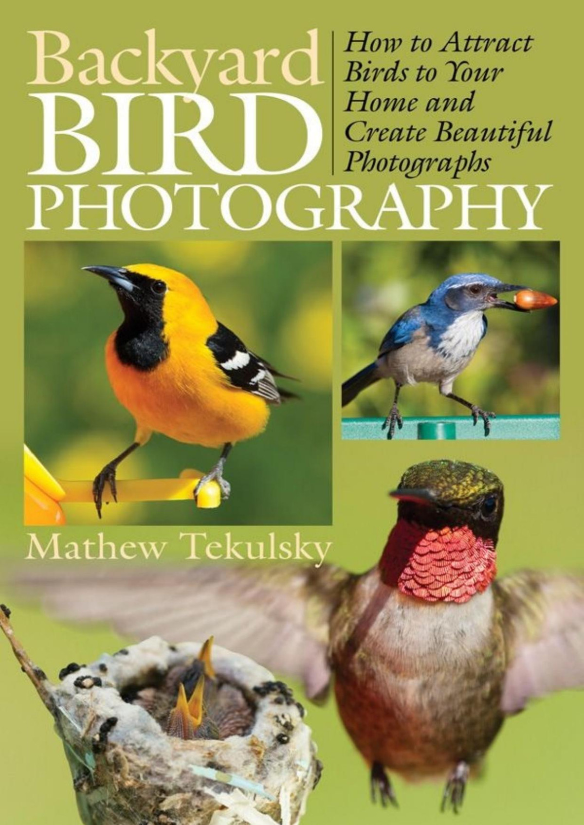 Backyard Bird Photography How To Attract Birds To Your Home And Create Beautiful Photographs Unknown