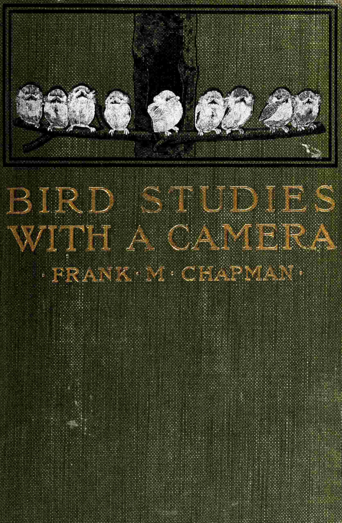 Bird Studies With A Camera Frank M Chapman