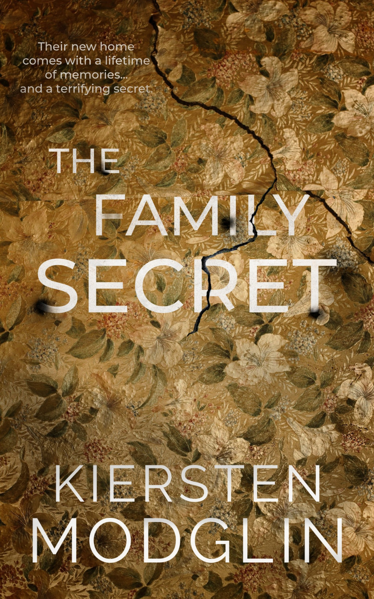 The Family Secret Modglin Kiersten