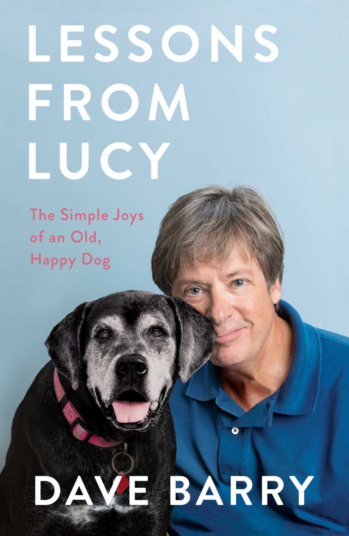 Lessons From Lucy The Simple Joys Of An Old Happy Dog Barry