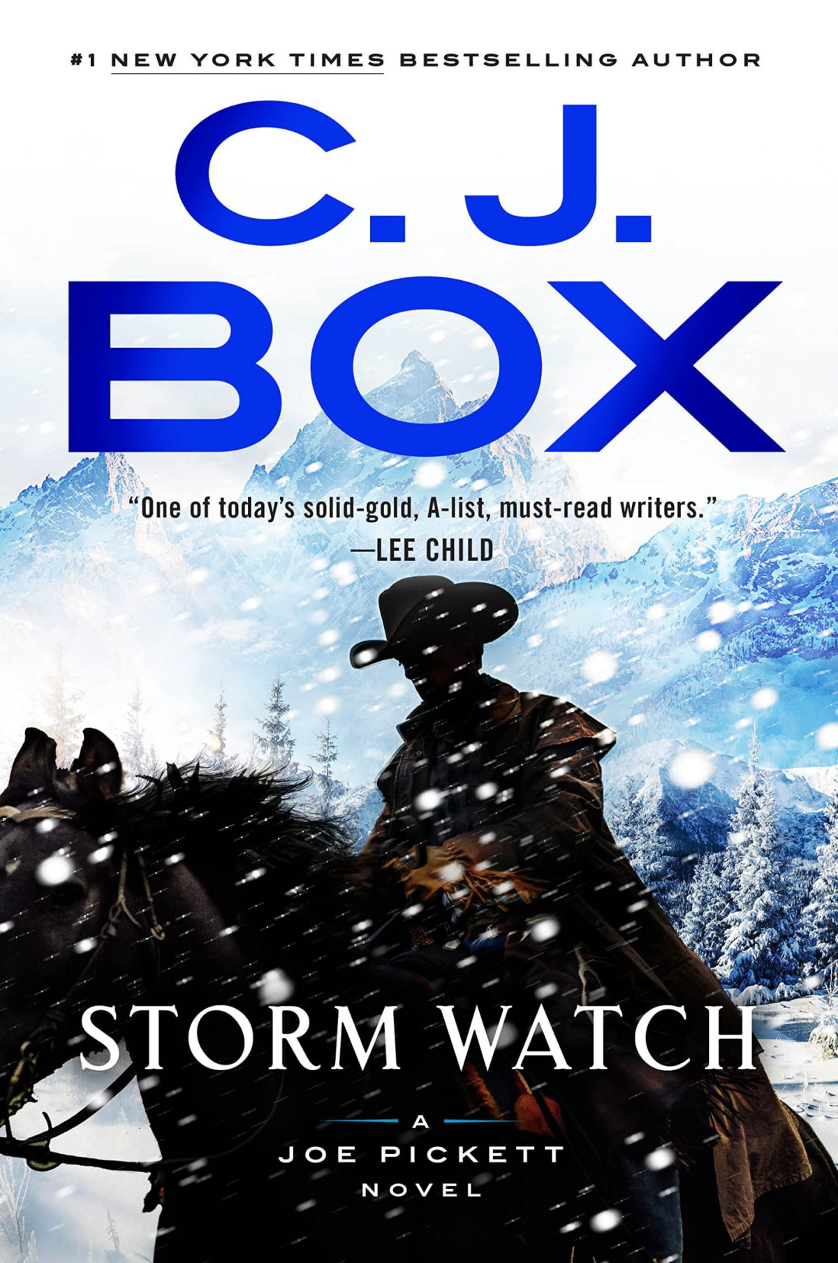 Storm Watch Box C J
