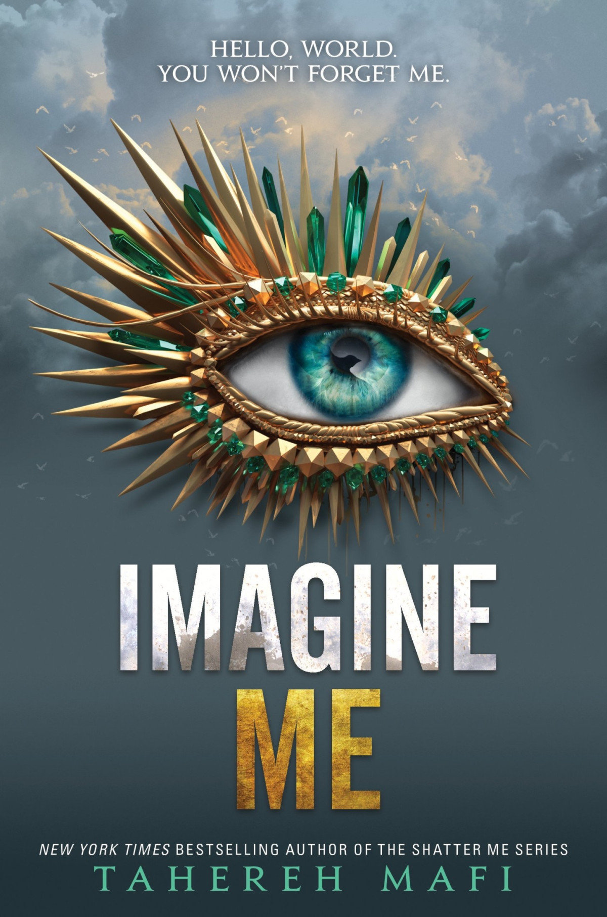 Imagine Me Mafi Tahereh