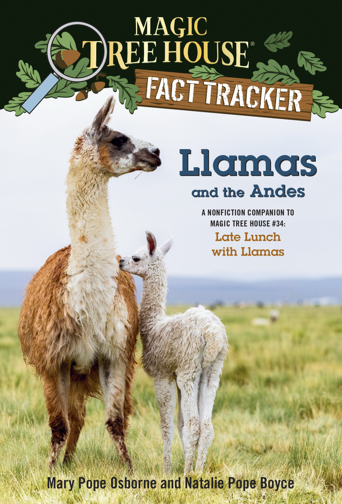 Llamas And The Andes 1st Edition Mary Pope Osborne Natalie Pope Boyce