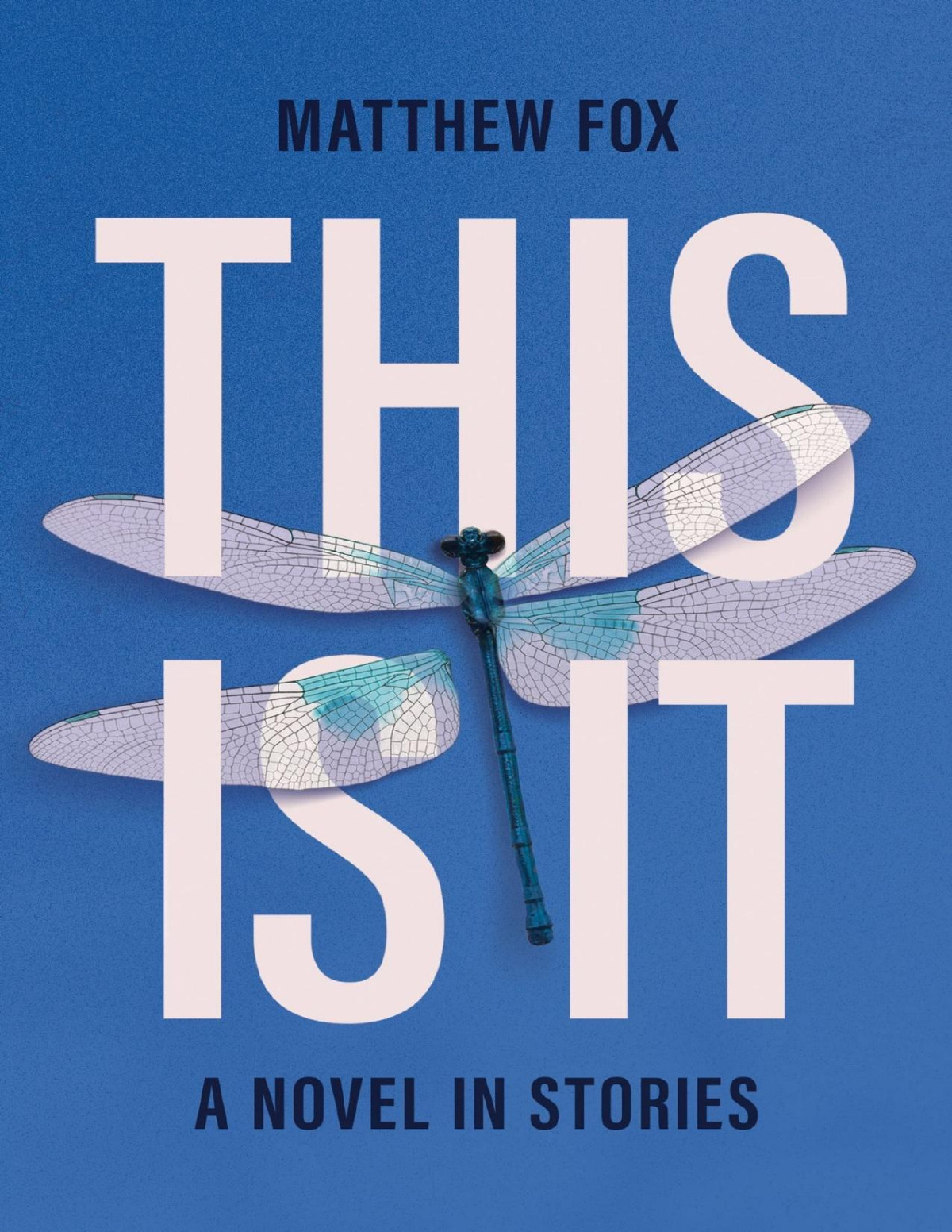 This Is It A Novel In Stories Matthew Fox
