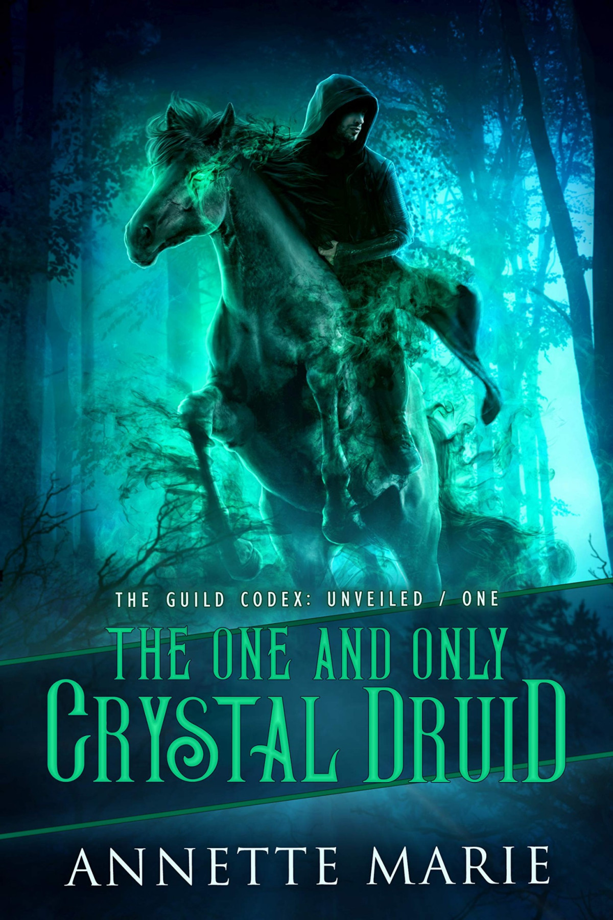 The One And Only Crystal Druid Annette Marie