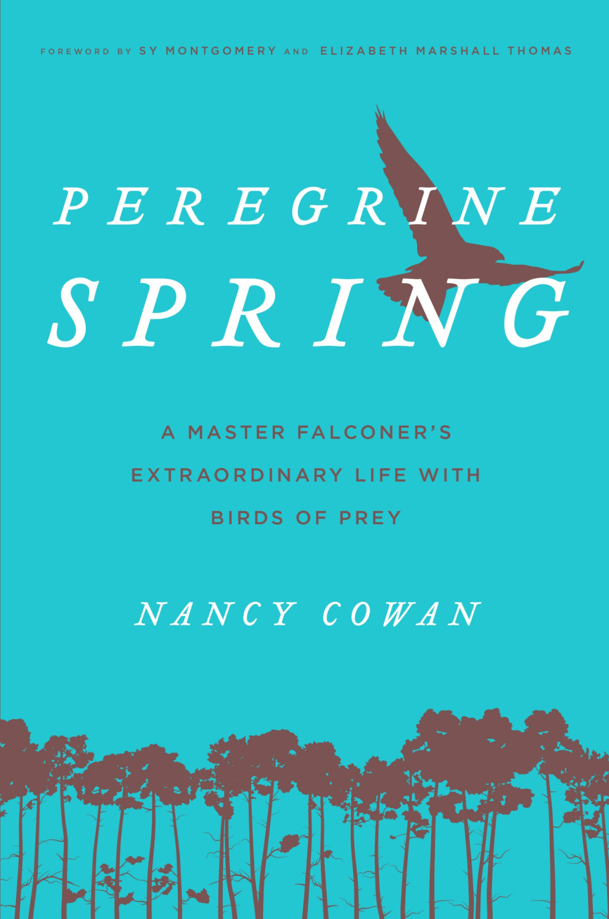 Peregrine Spring Nancy Cowan