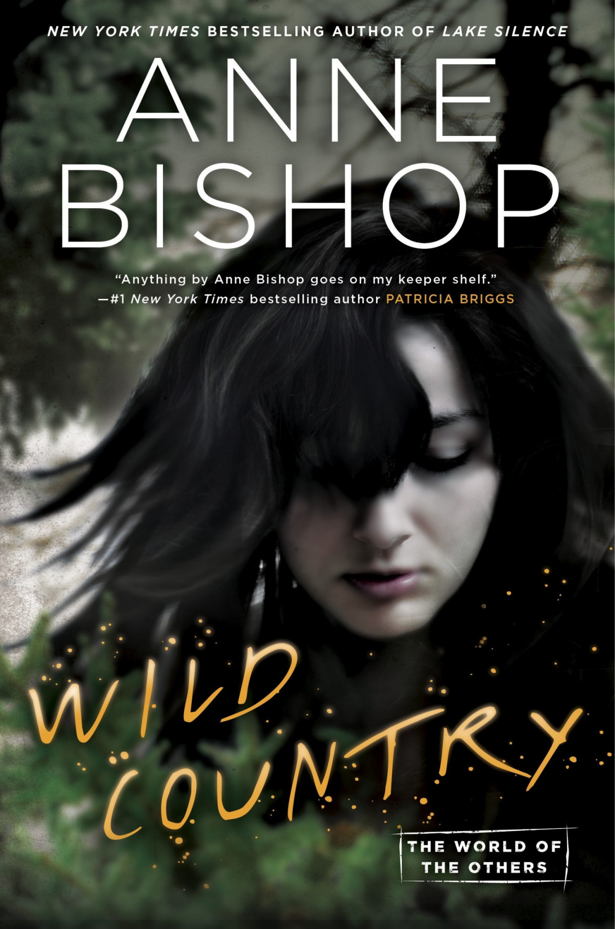 Wild Country Anne Bishop