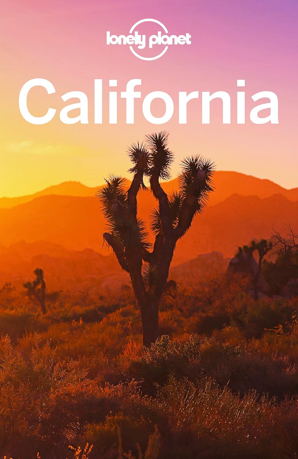 Lonely Planet California Atkinson Brett Bender Andrew Benson