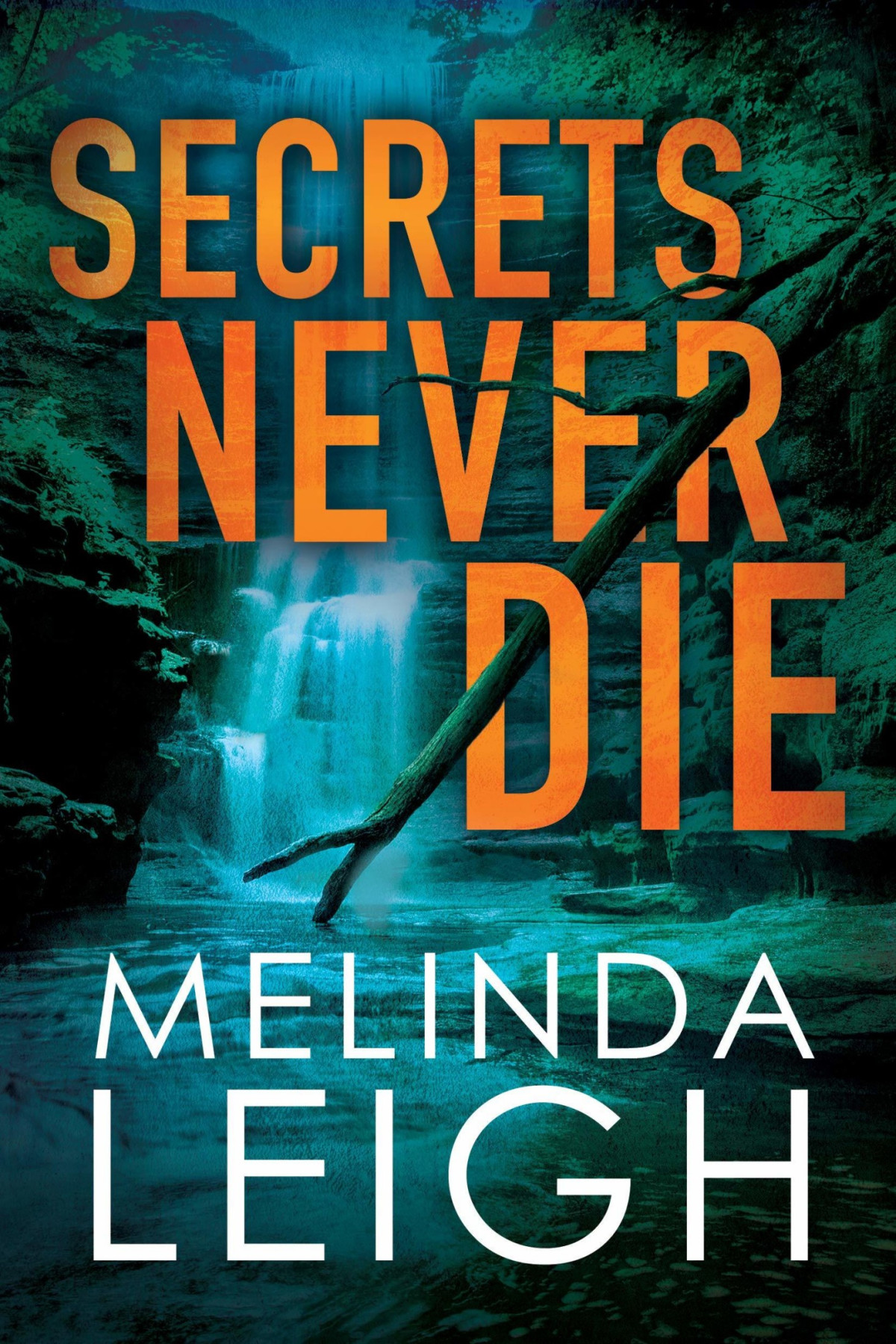 Secrets Never Die Leigh Melinda