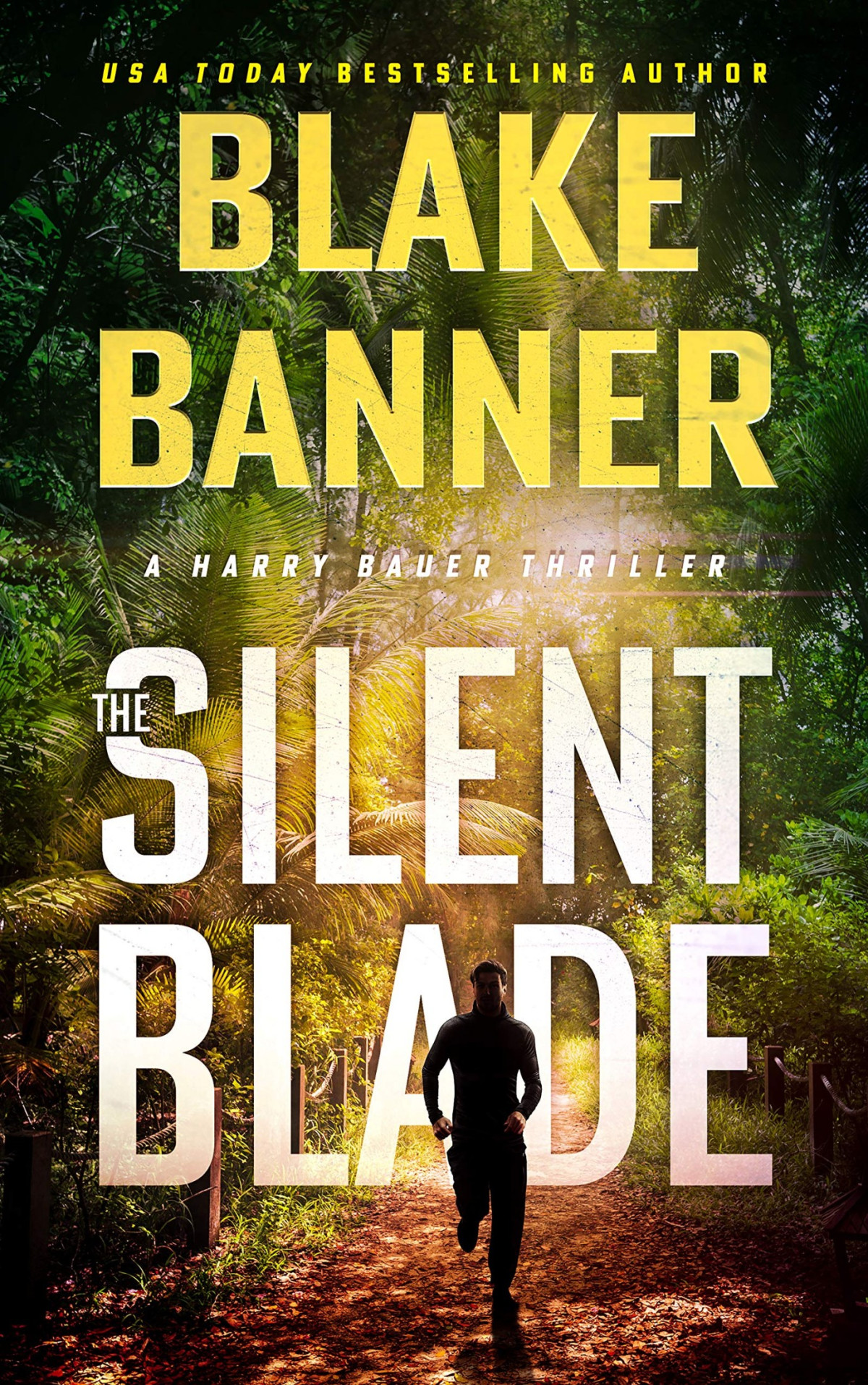 The Silent Blade Banner Blake