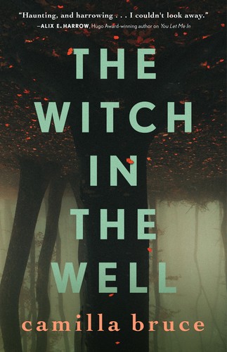 The Witch In The Well Bruce Camilla