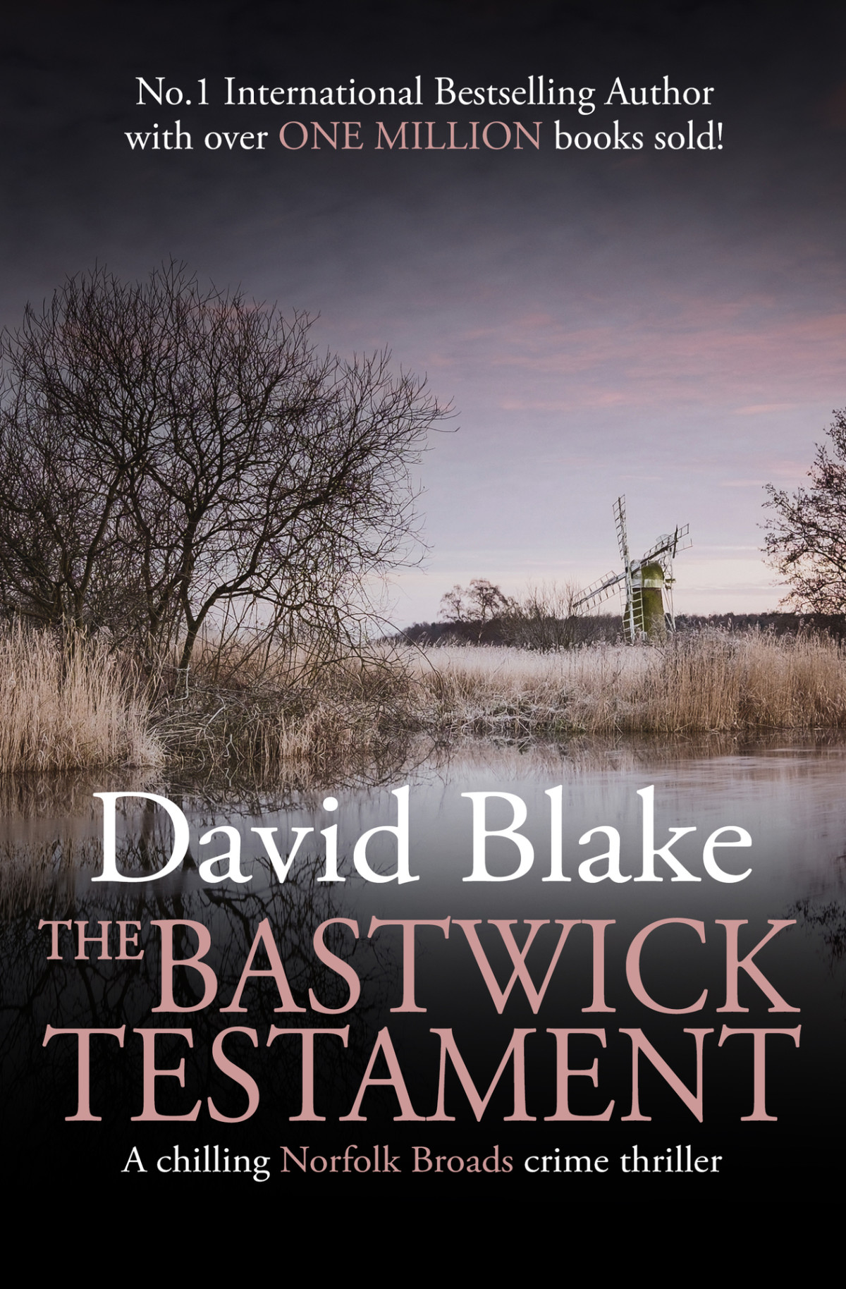 The Bastwick Testament David Blake