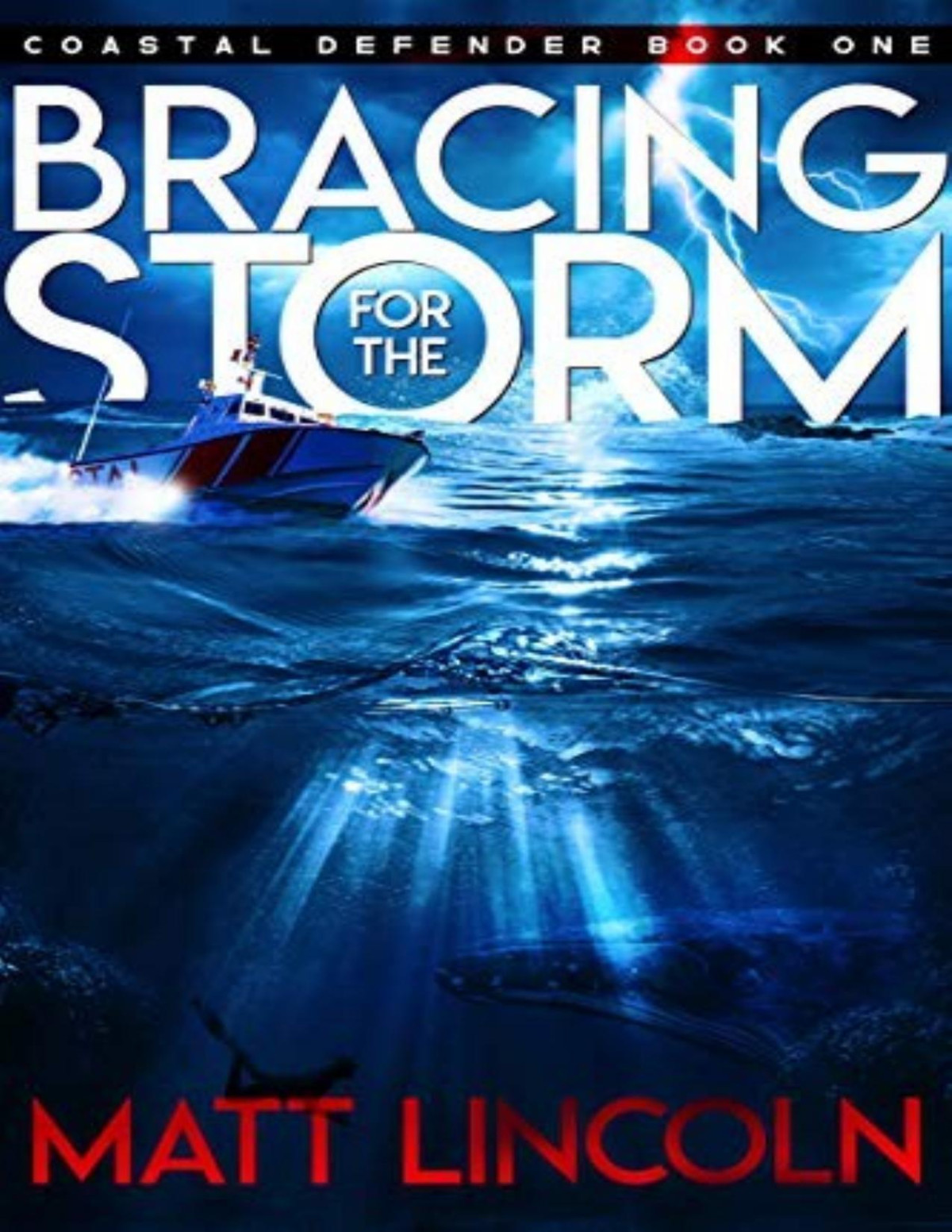 Coastal Defender 1 Bracing For The Storm Matt Lincoln