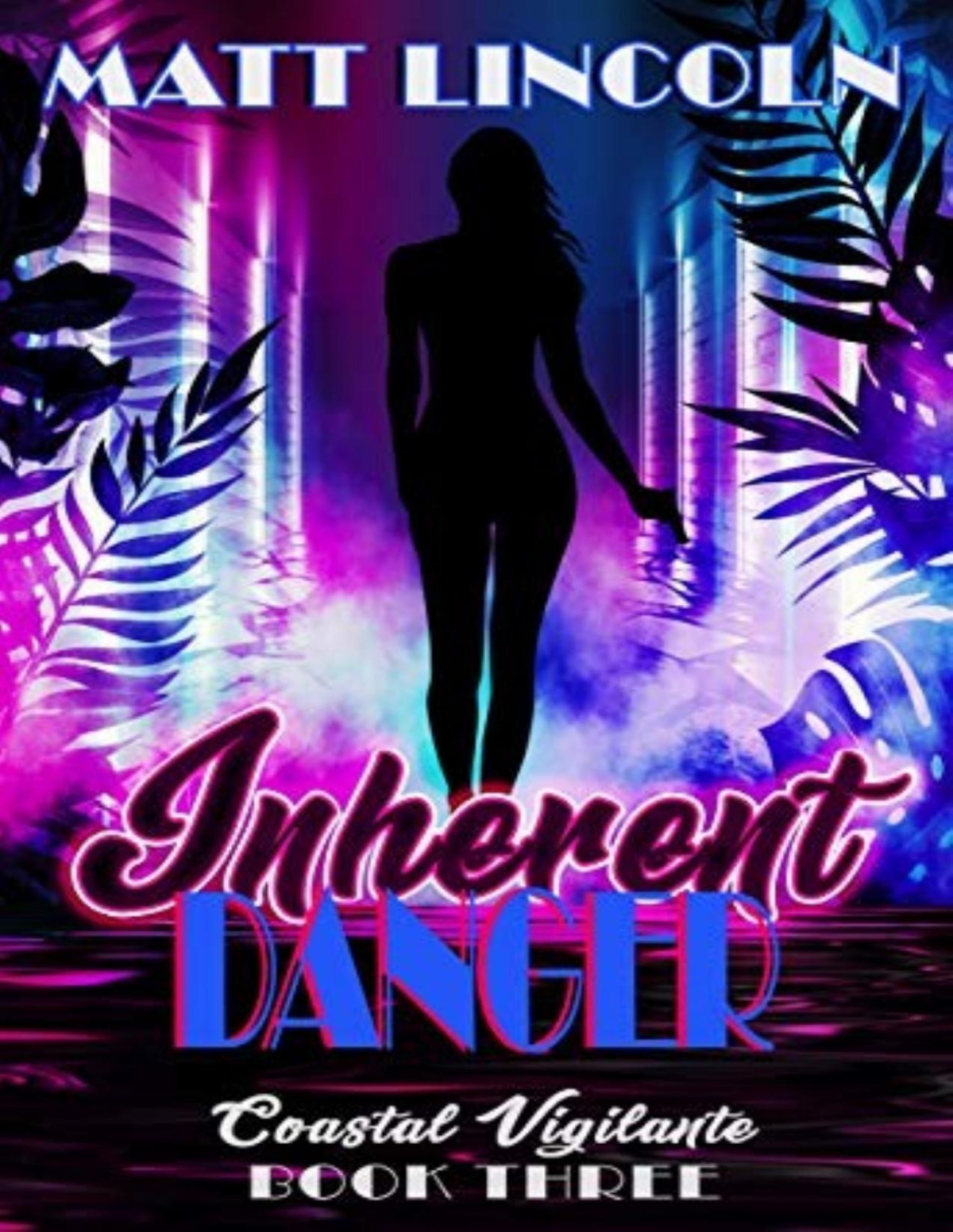 Coastal Vigilante 3 Inherent Danger Matt Lincoln