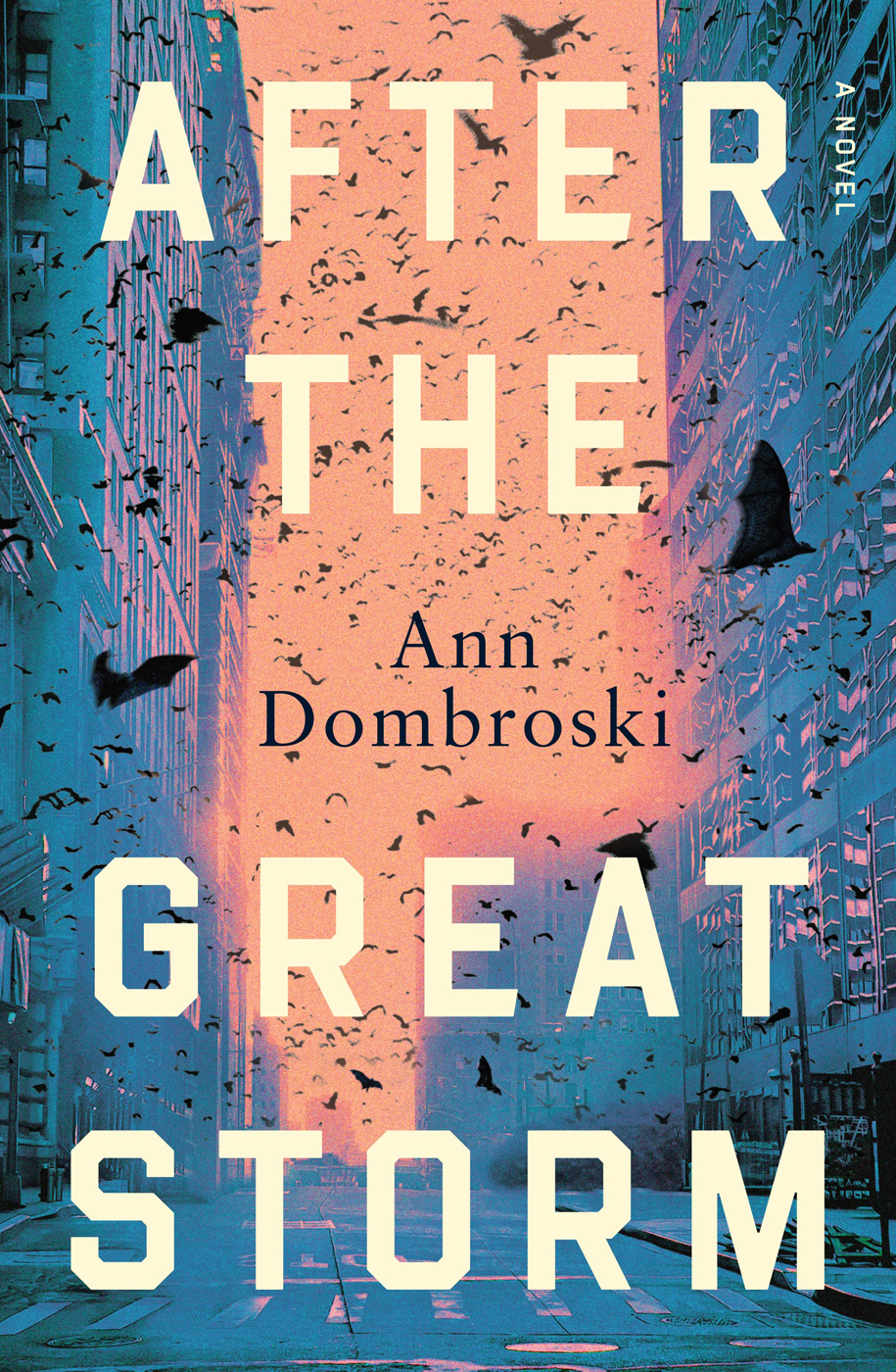 After The Great Storm Ann Dombroski