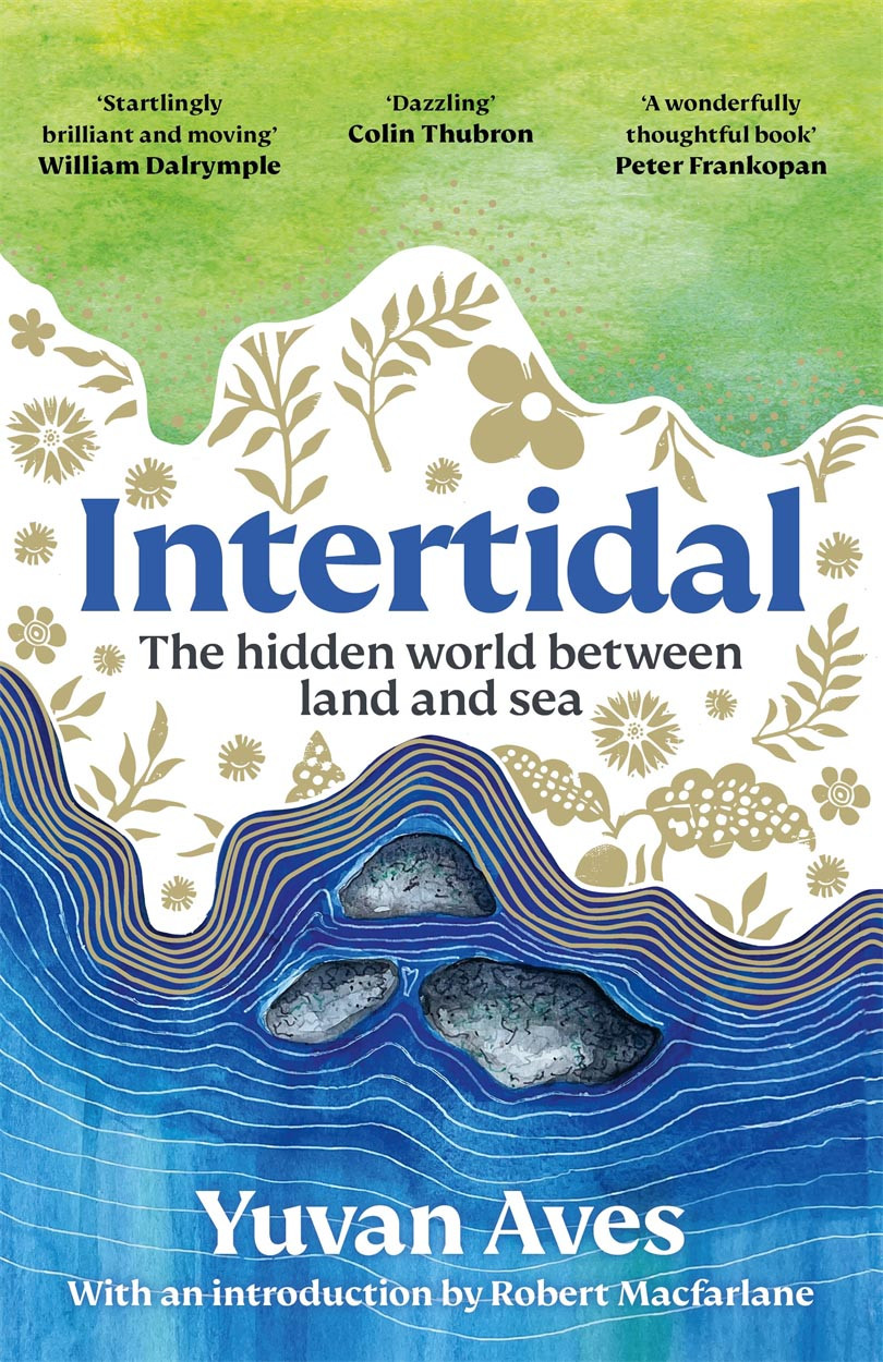 Intertidal Yuvan Aves