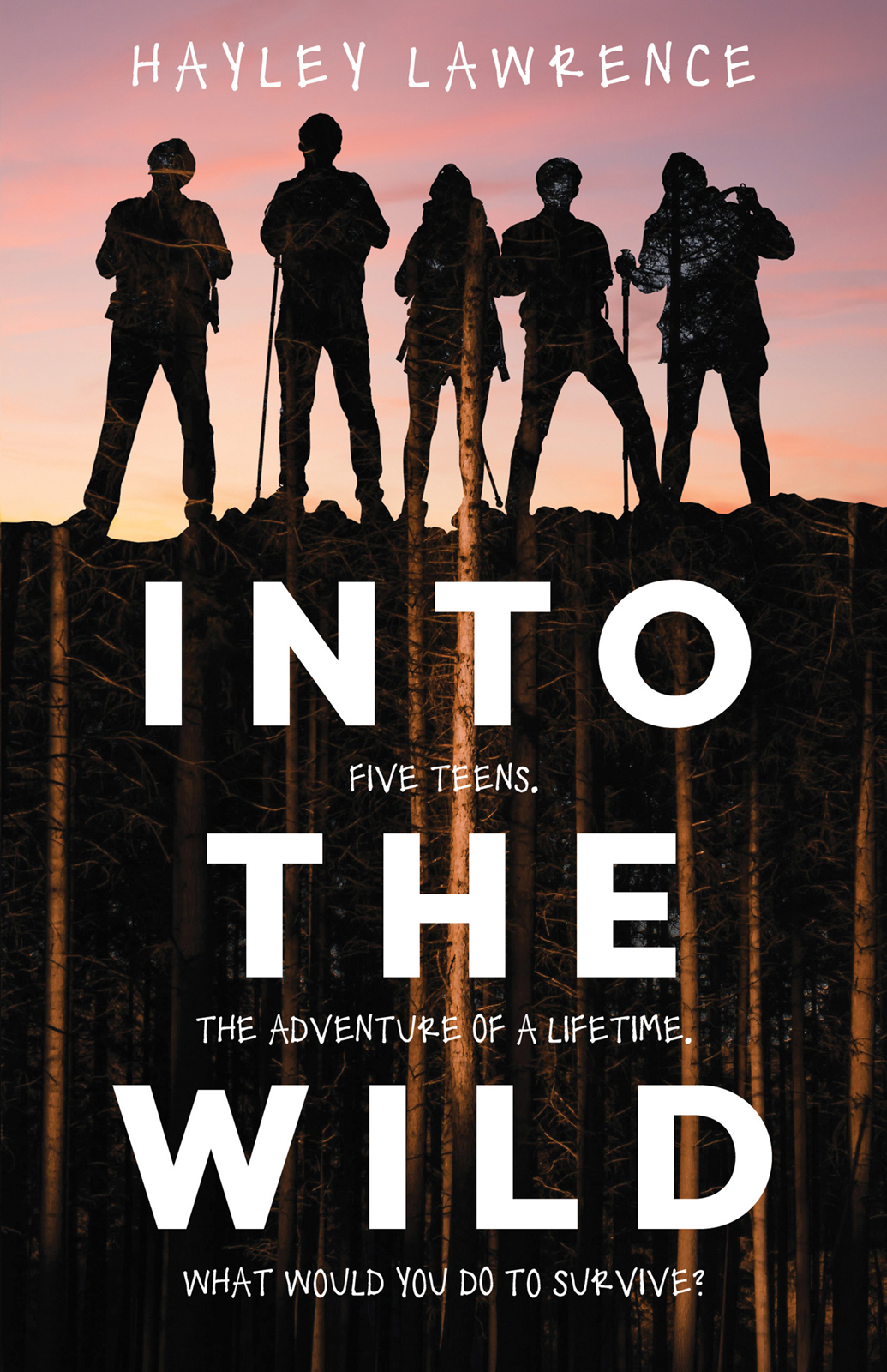 Into The Wild Hayley Lawrence