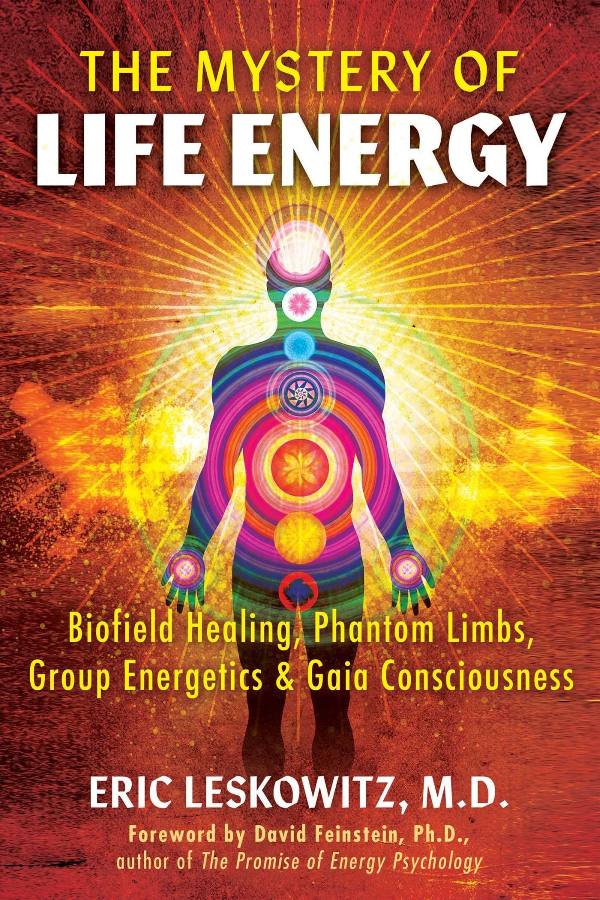 The Mystery Of Life Energy Biofield Healing Phantom Limbs Group Energetics And Gaia Consciousness Eric Leskowitz