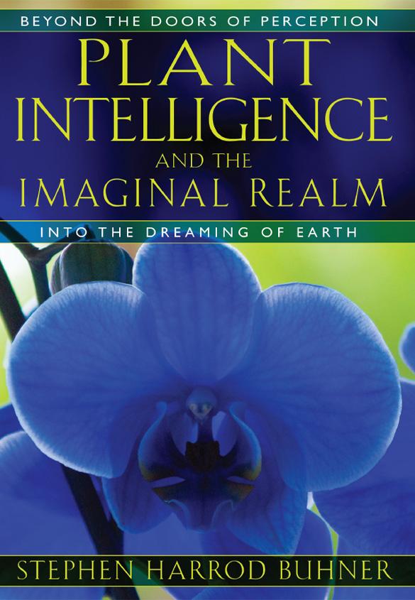 Plant Intelligence And The Imaginal Realm Stephen Harrod Buhner