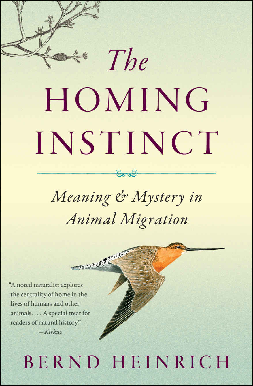 The Homing Instinct Meaning Mystery In Animal Migration Bernd Heinrich