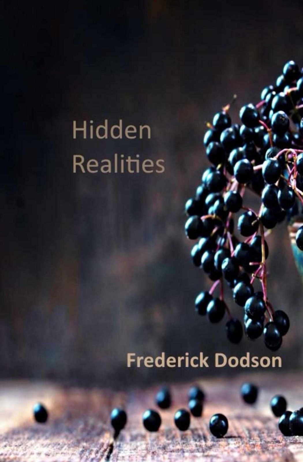 Hidden Realities Frederick Dodson