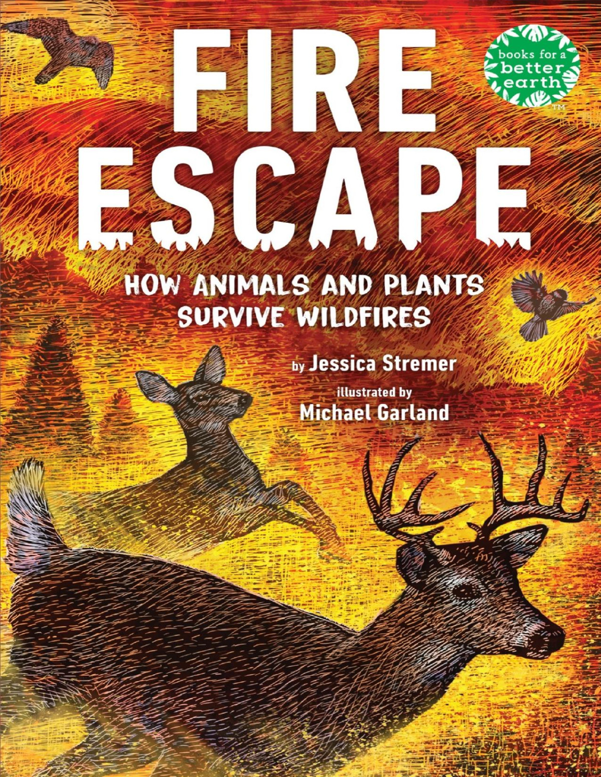 Fire Escape How Animals And Plants Survive Wildfires Jessica Stremer