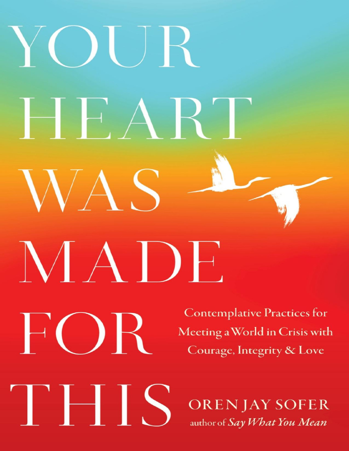Your Heart Was Made For This Contemplative Practices For Meeting A World In Crisis With Courage Integrity And Love Oren Jay Sofer