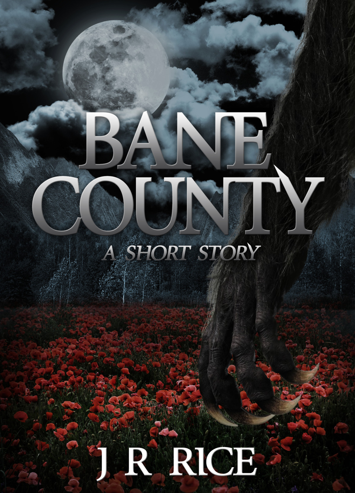 Bane County A Short Story Book 35 Rice J R