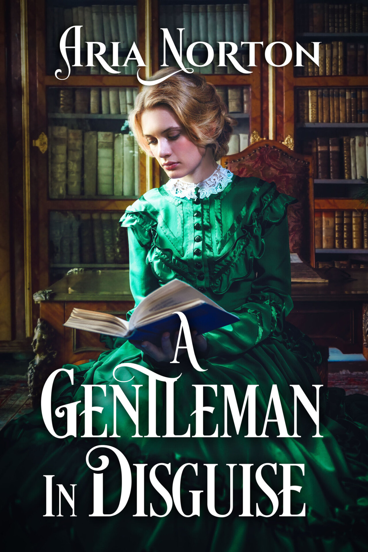 A Gentleman In Disguise 1st Edition Norton Aria