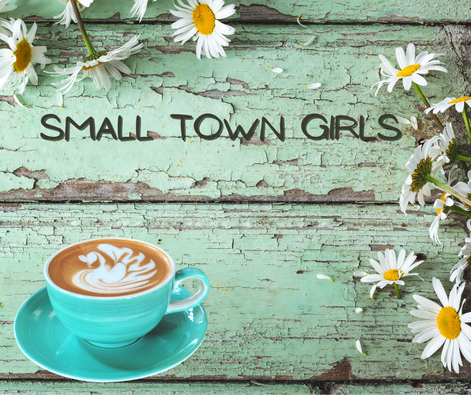 Small Town Spya Small Town Girl Crossover Novella Jann Franklin