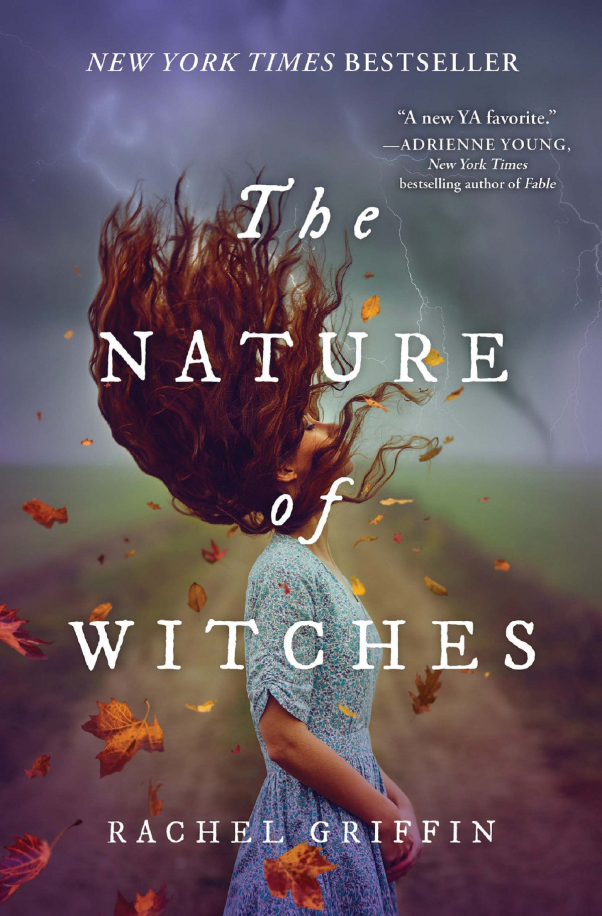 The Nature Of Witches Rachel Griffin