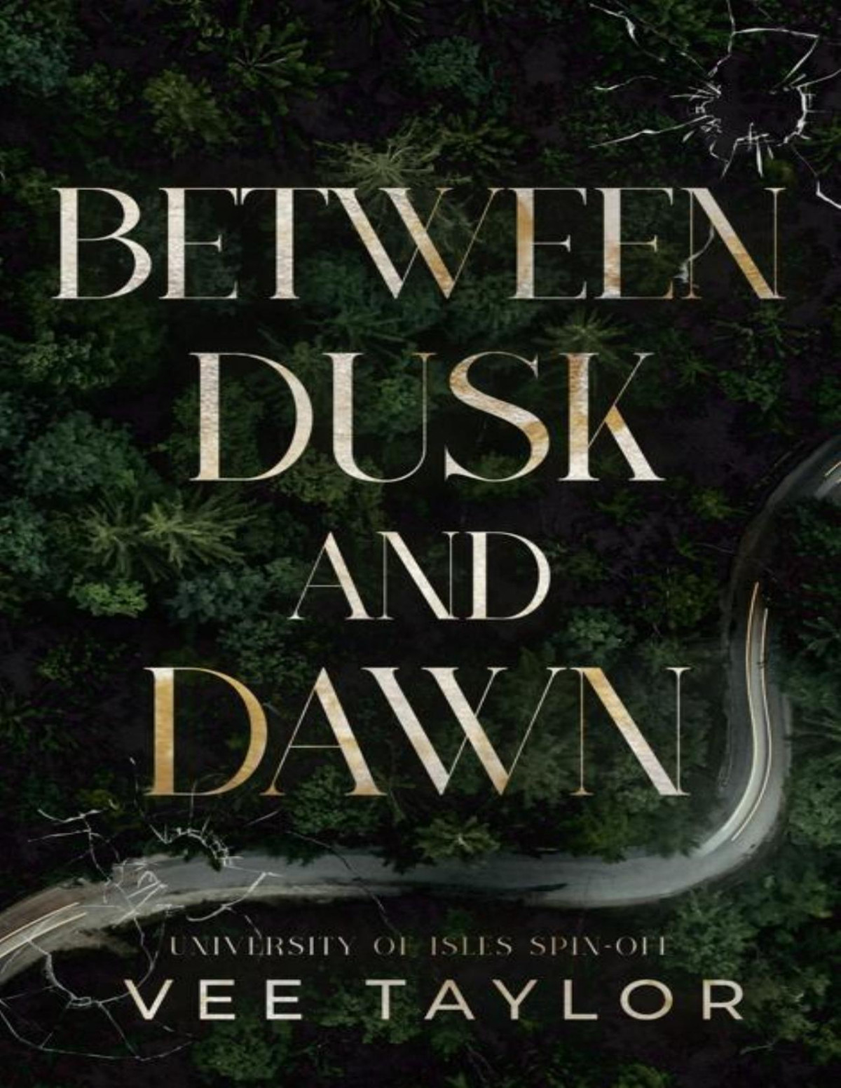 Between Dusk And Dawn Vee Taylor