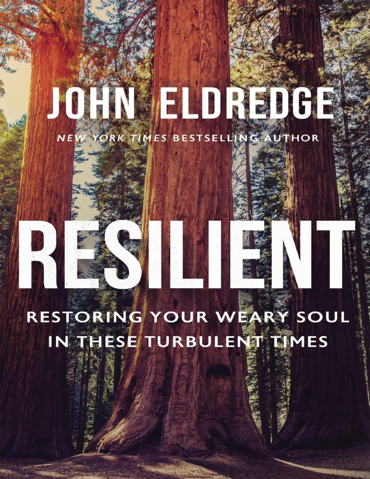 Resilient Restoring Your Weary Soul In These Turbulent Times John Eldredge
