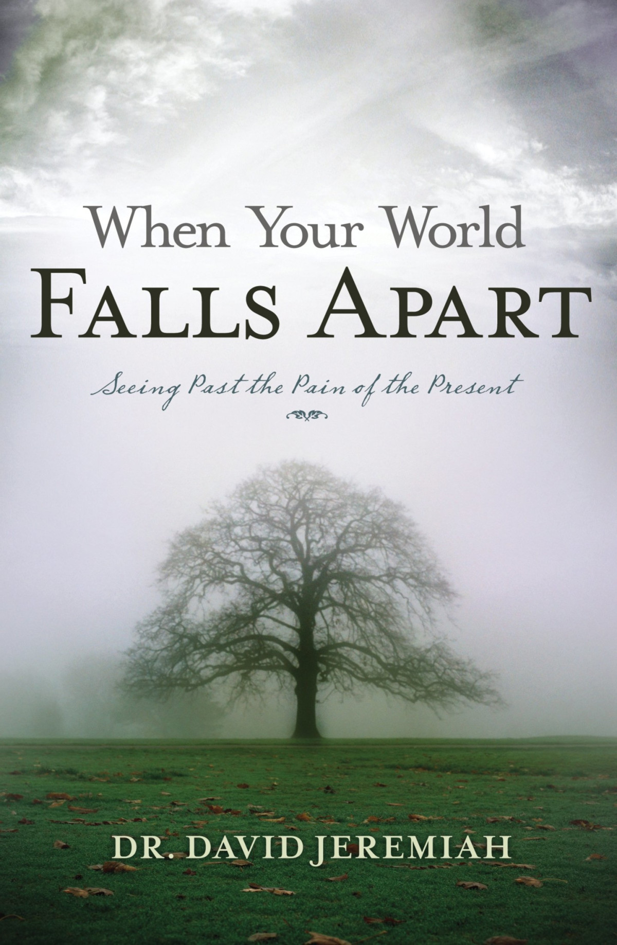 When Your World Falls Apart See Past The Pain Of The Present David Jeremiah