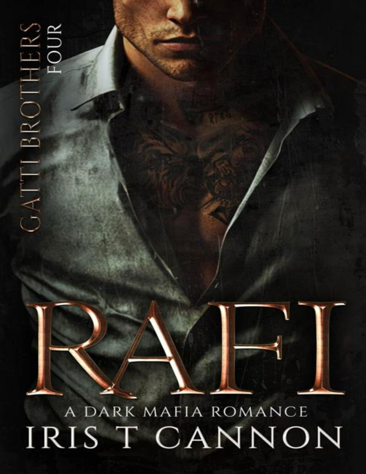 Rafi Gatti Brothers Book 4 Iris T Cannon
