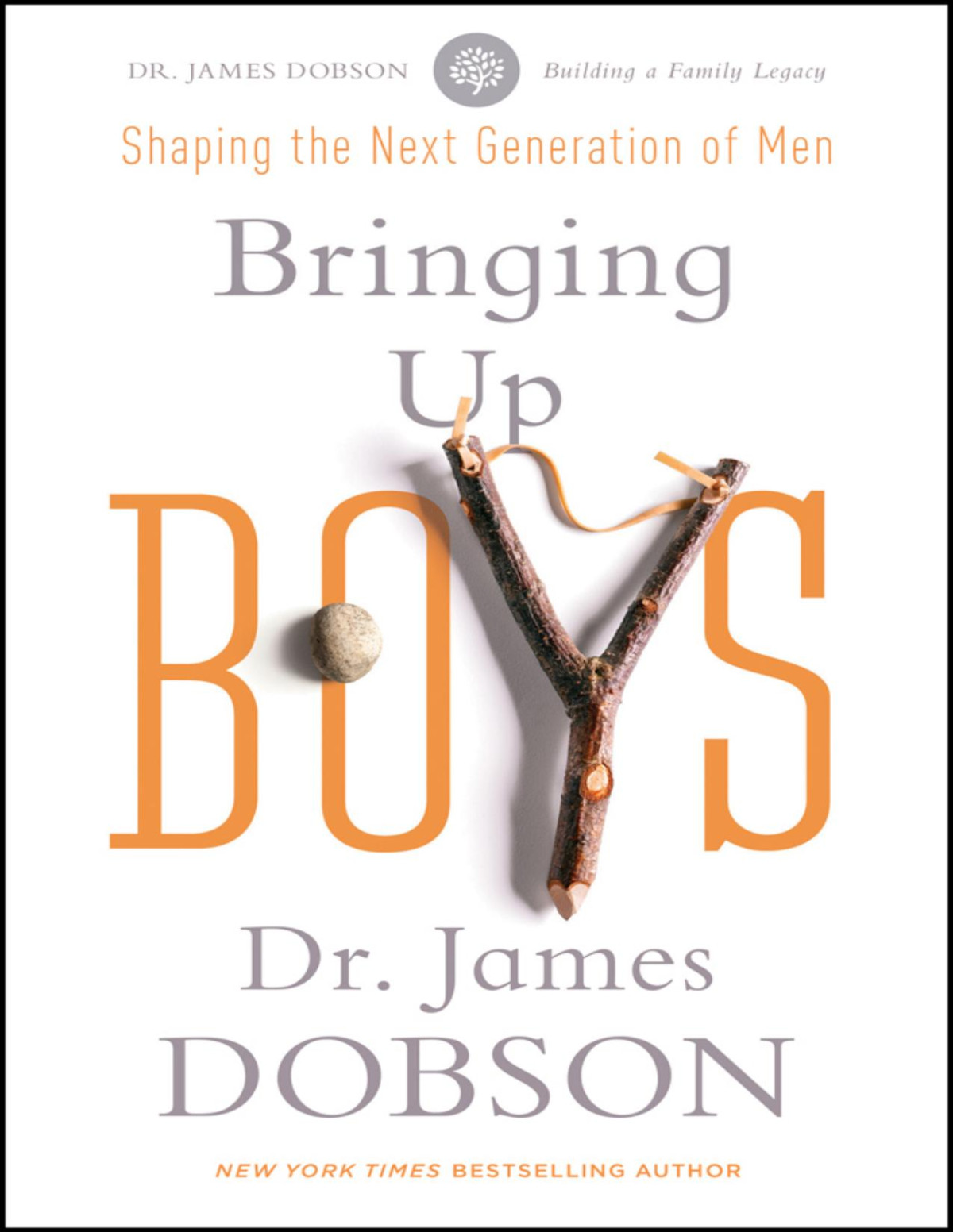 Bringing Up Boys James Dobson