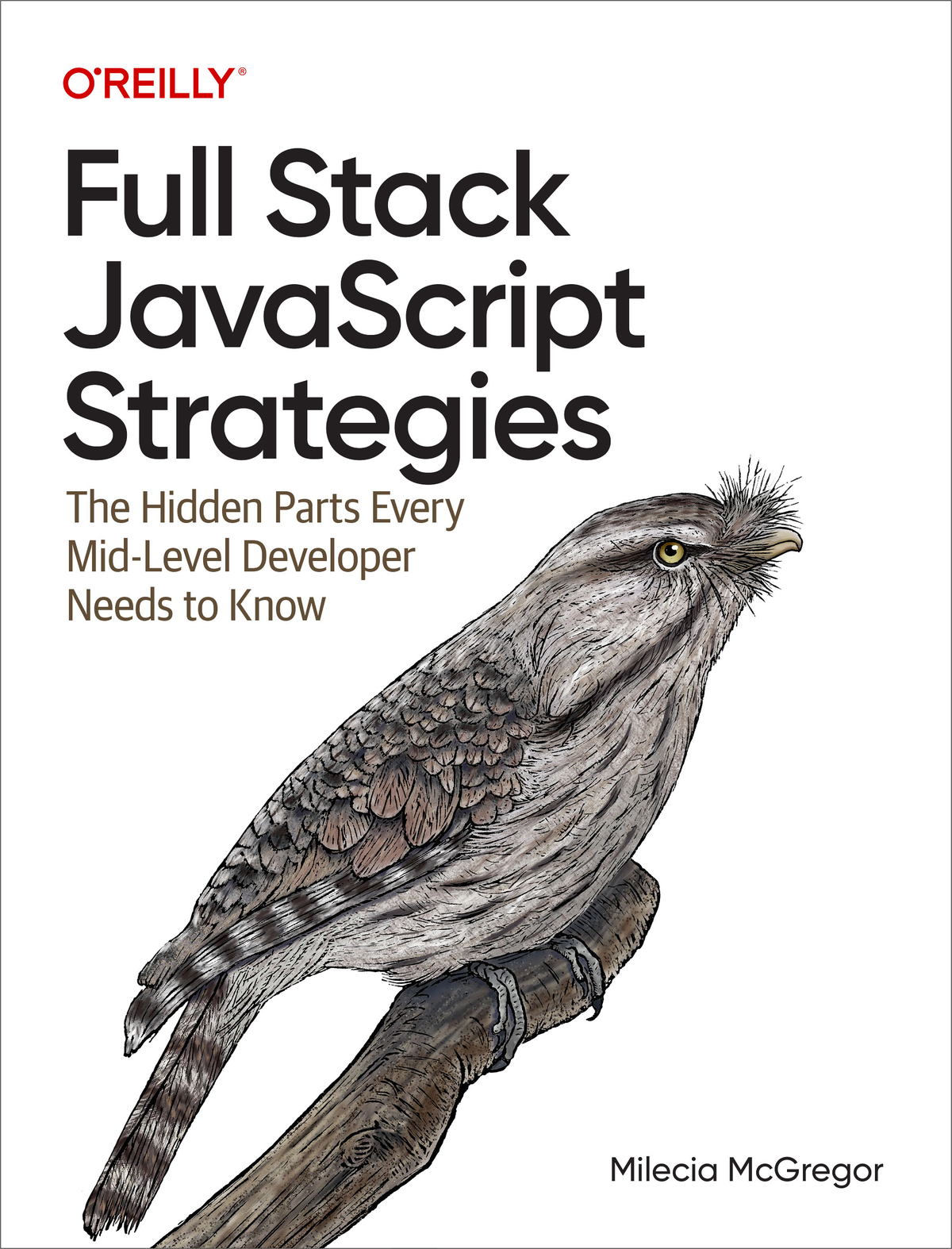 Full Stack Javascript Strategies Milecia Mcgregor