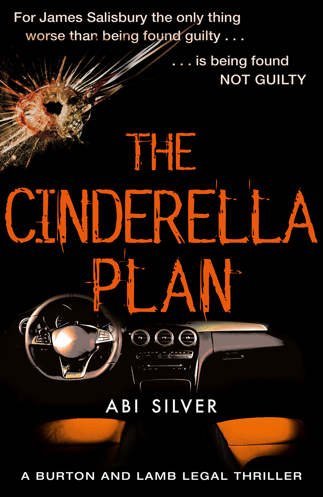 The Cinderella Plan Abi Silver