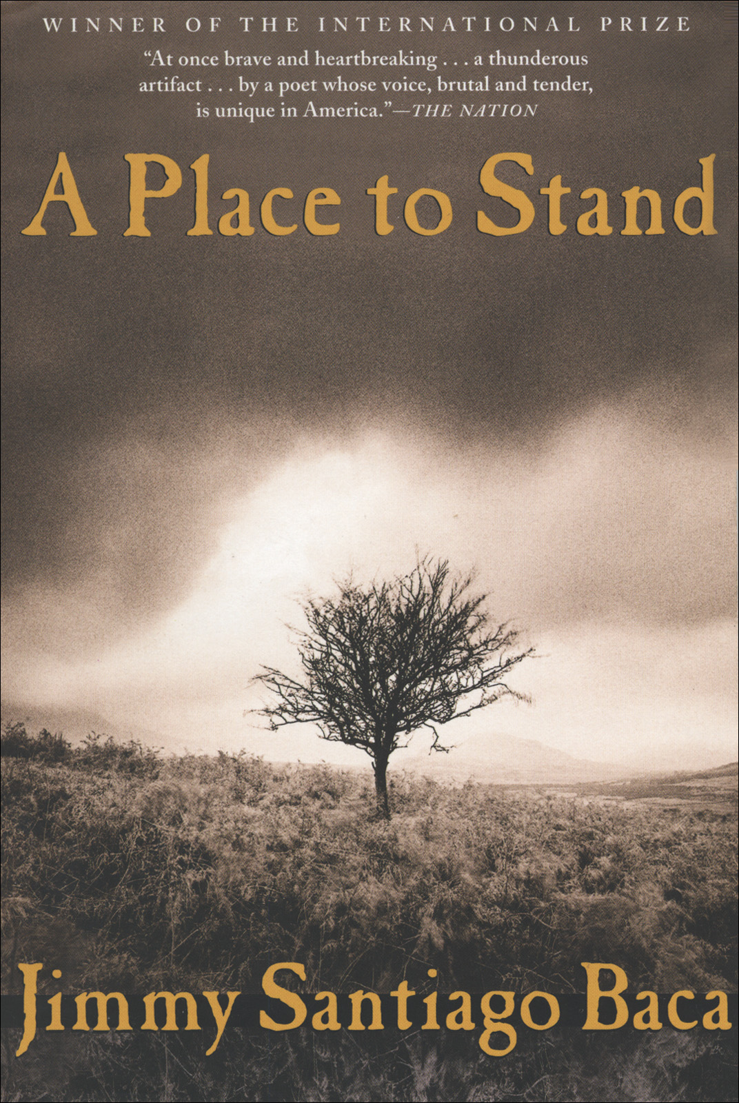 Baca Jimmy Santiago A Place To Stand Baca Jimmy Santiago