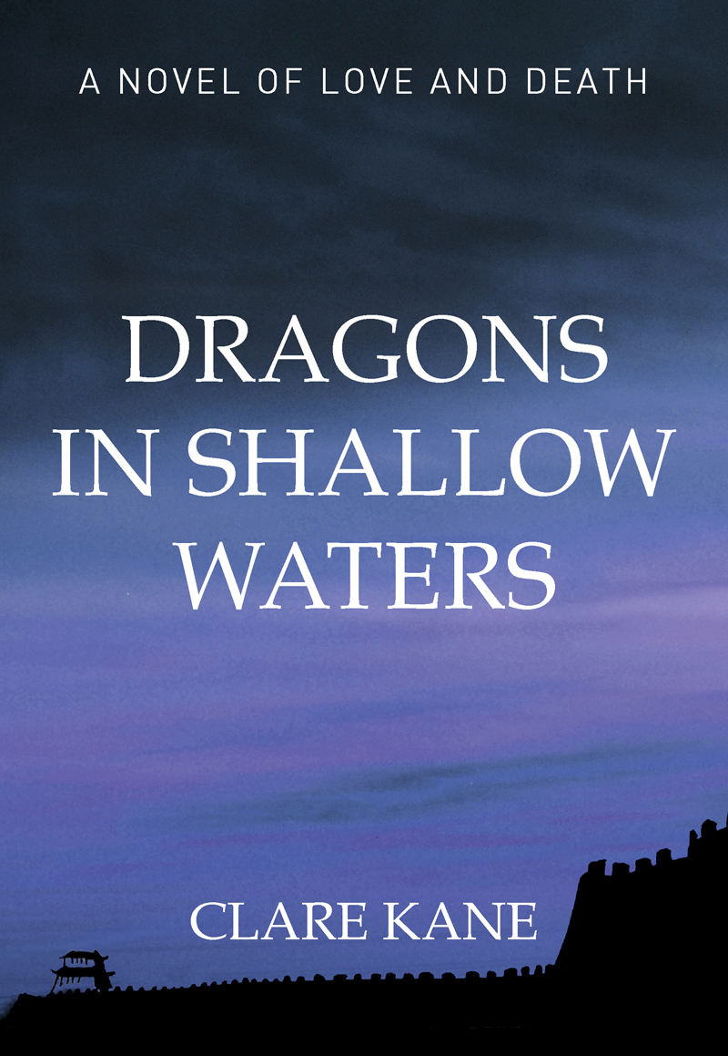 Dragons In Shallow Waters Kane Clare