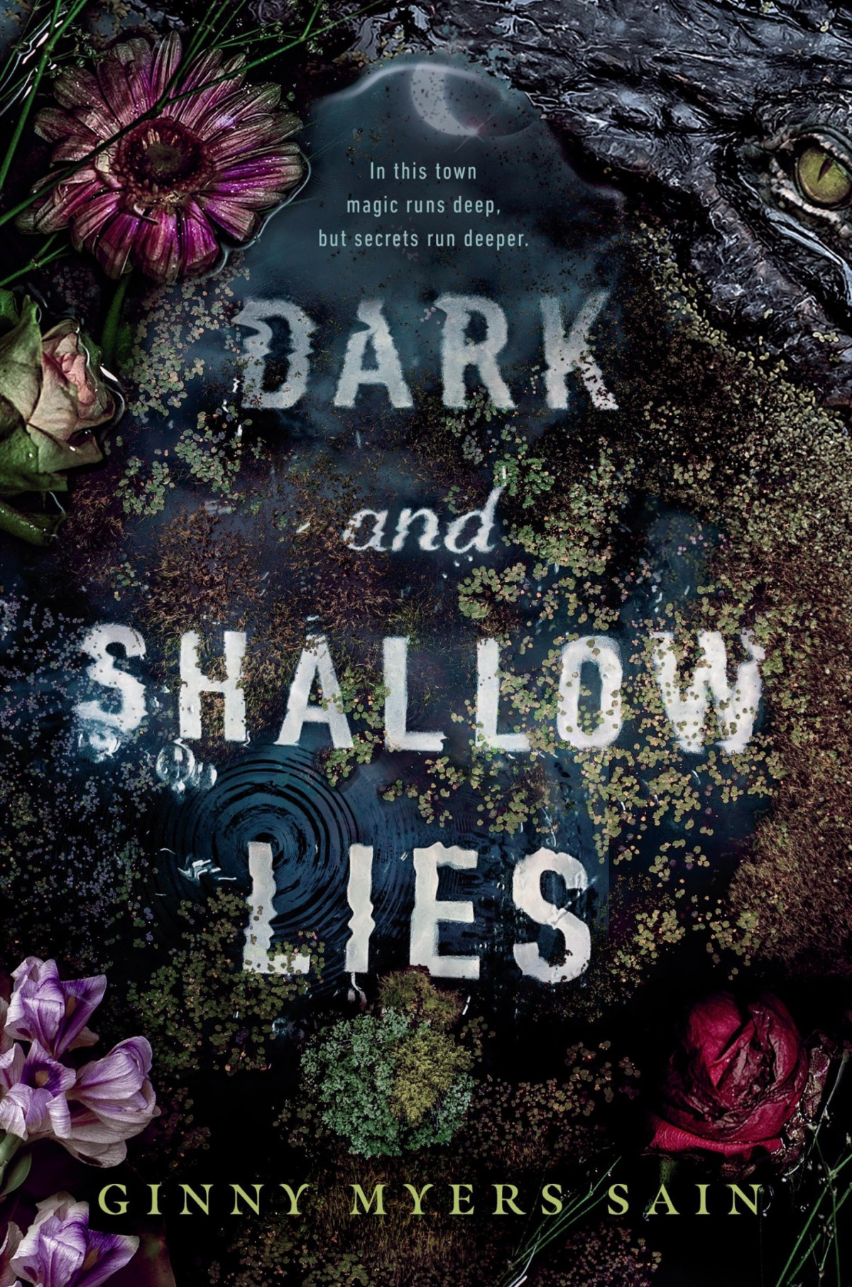 Dark And Shallow Lies Ginny Myers Sain