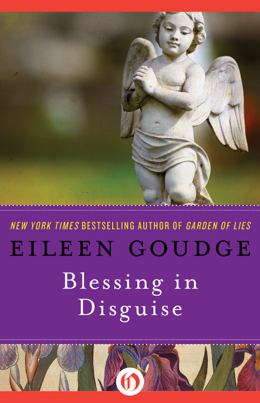 Blessing In Disguise Eileen Goudge