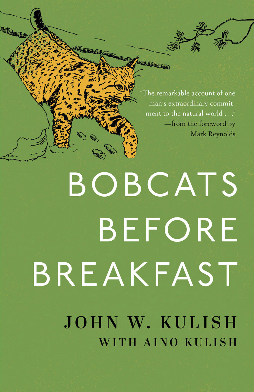 Bobcats Before Breakfast John Kulish Aino Kulish